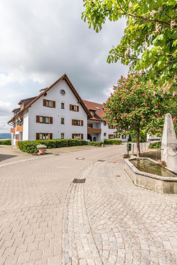 Rh-Appartements 15 Minuten Von Basel Im Dorf Ruehrberg Grenzach-Wyhlen Eksteriør billede